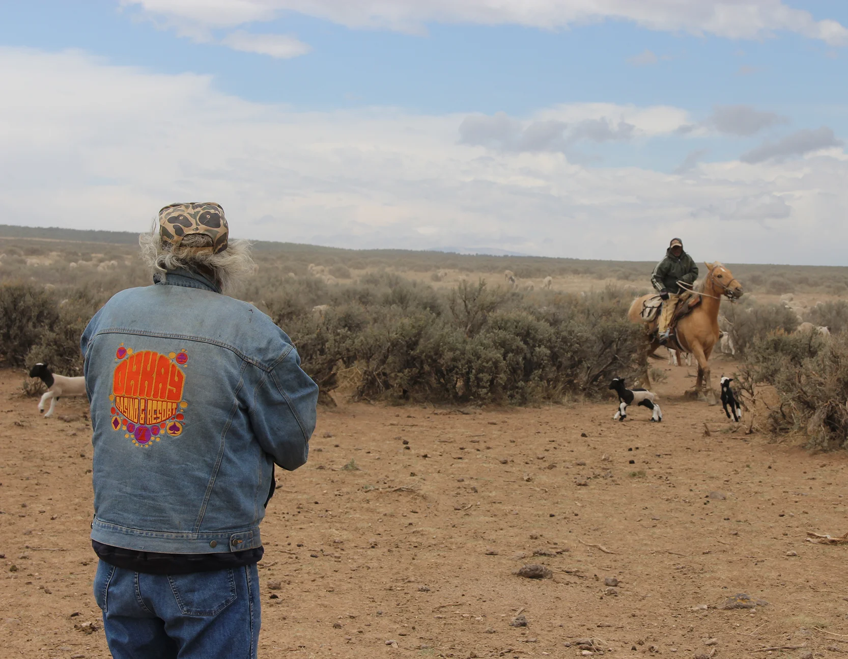 Baldo, Juanito, and horse Peanut do their best to corral a group of incredibly spry little lambs.