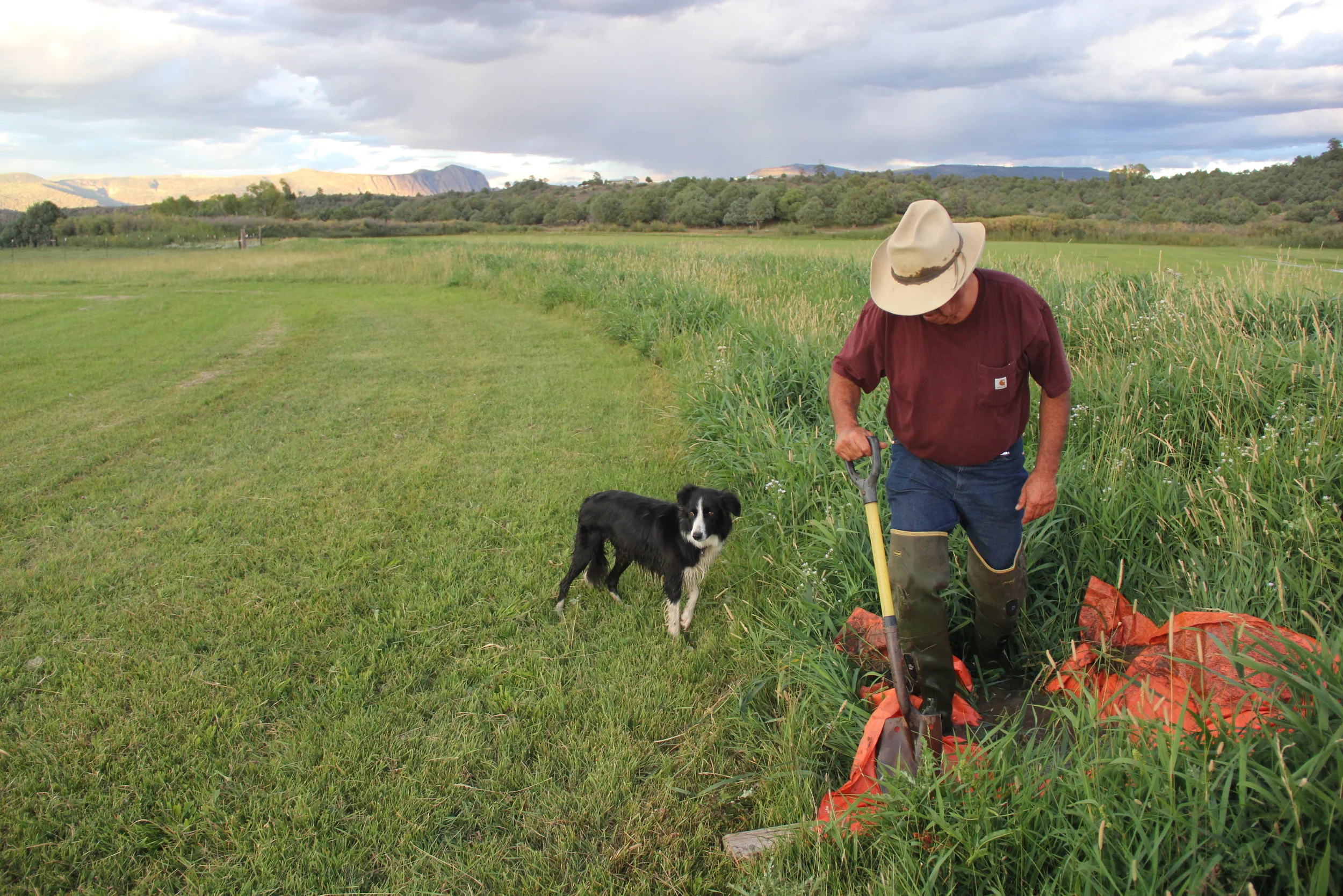 Antonio and Sammie irrigate the fields on the ranch. The Tierra Amarilla valley (and most of northern New Mexico) is irrigated by a centuries-old system of acequias , or community ditches, that carry water from streams and rivers and into networks of fields.
