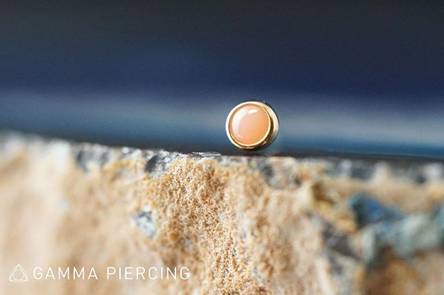 These cup settings are flying out of the shop! This coral piece by @bvla is still available, but probably not for long!
.
.
Photo by @kk_shaye 
#GammaPiercing #safepiercing #bvla #bvlalove #annarbor #goblue #nostrilpiercing #traguspiercing #helixpier