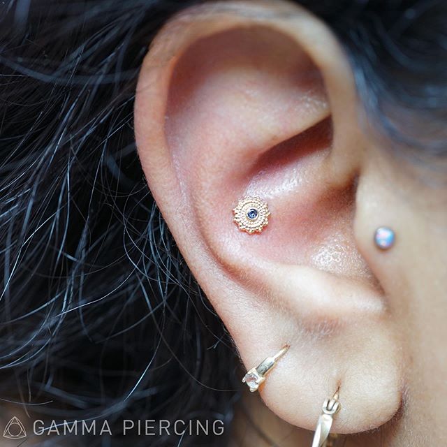 Check out this conch piercing by Amanda featuring a stunning piece from @bvla ... Flawless in every way!
.
.
#gammapiercing #conchpiercing #yellowgold #ilovegold #bvla #bvlalove