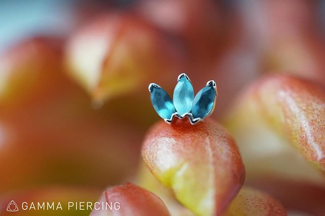 These fans are so stunning. They will not last long! This piece features solid white gold and sandblasted London topaz and Swiss Topaz. Photo by @kk_shaye .
.
#annarbor #michigan #gammapiercing #bvla #bvlalove #marquisefan #goblue