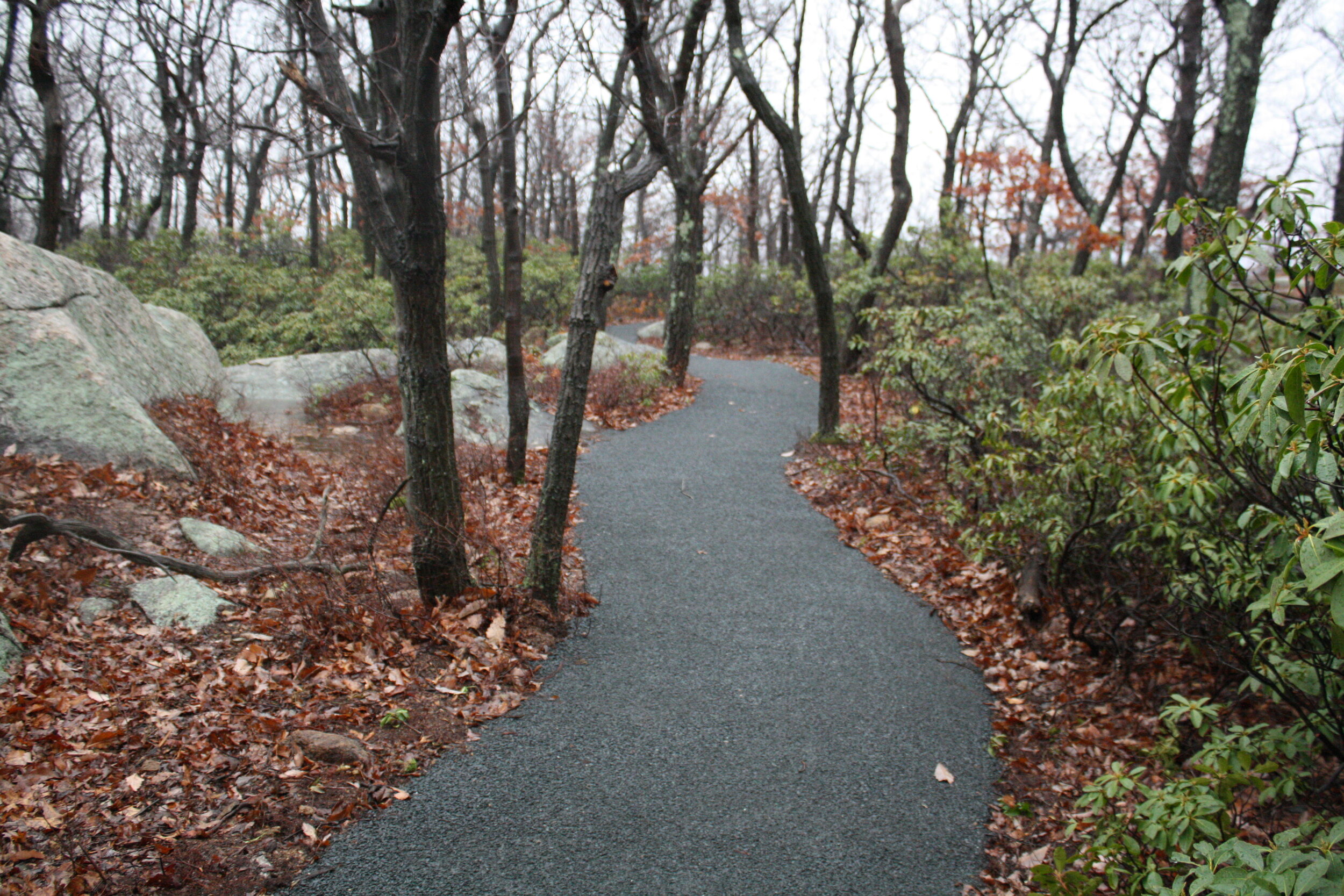 Accessible Trail at Bear Mountain.JPG