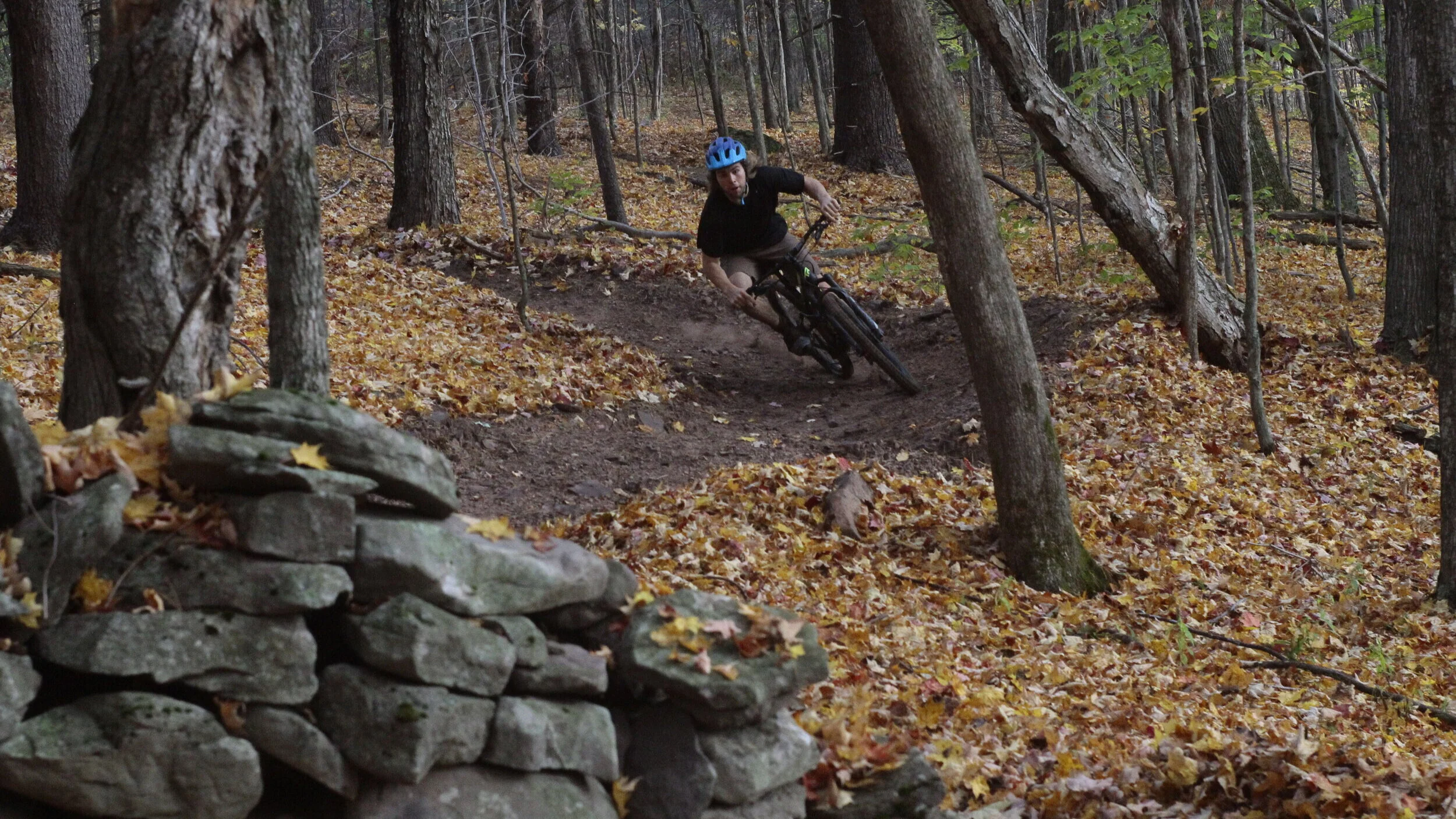 _MG_3394.jpg