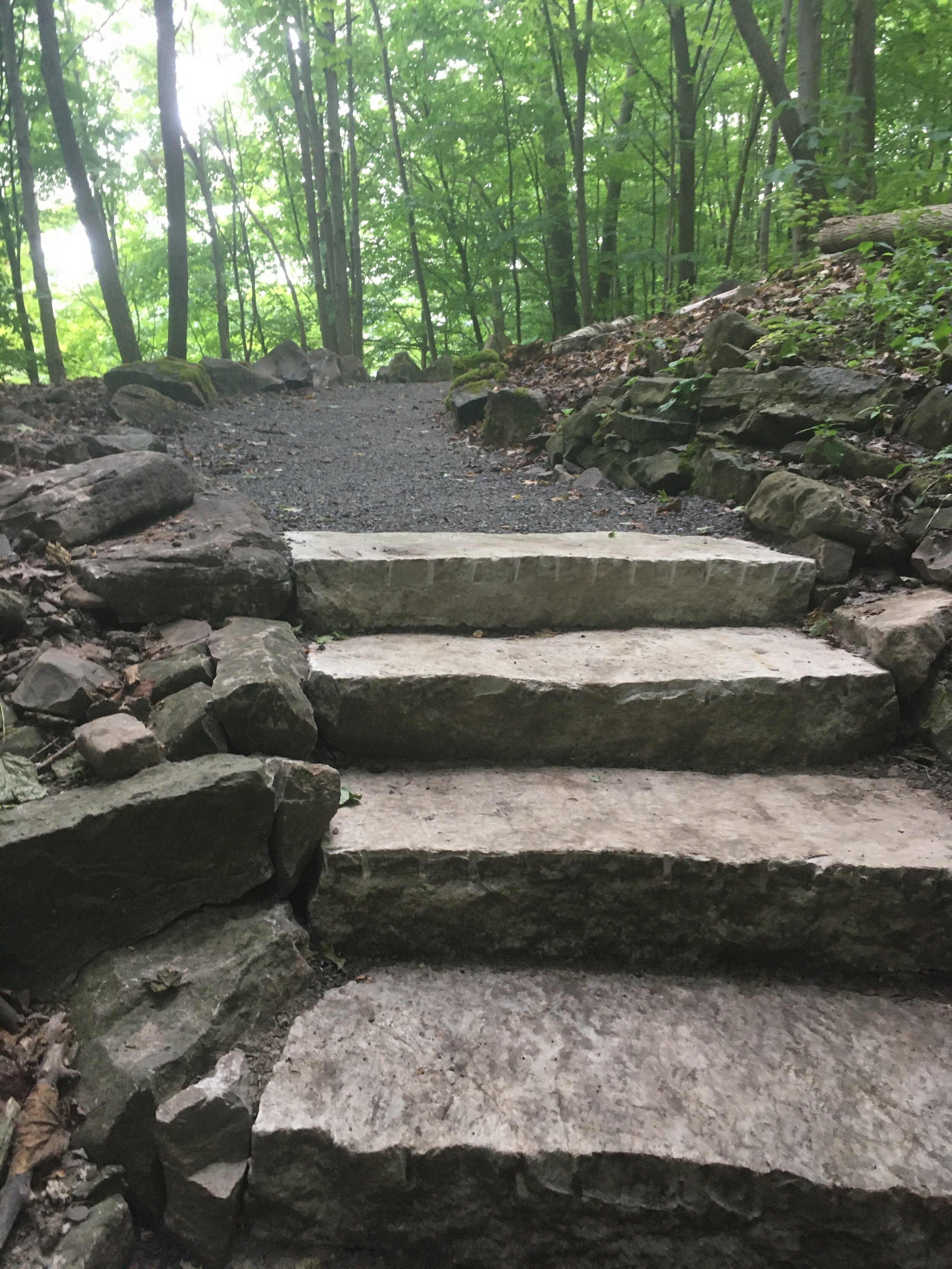 Niagara Gorge Access Stairs, Devils Hole State Park