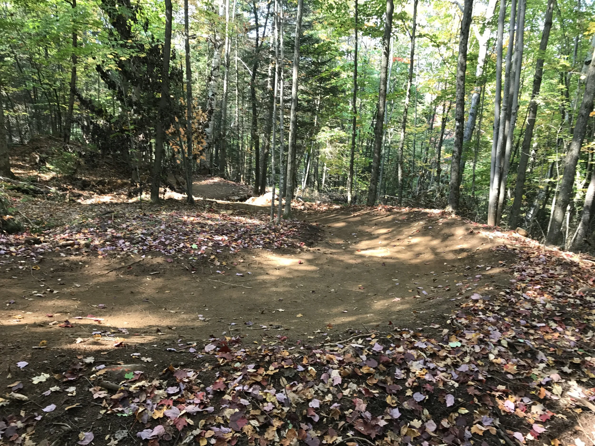 Flow Trail at Scott's Cobble photo.jpg