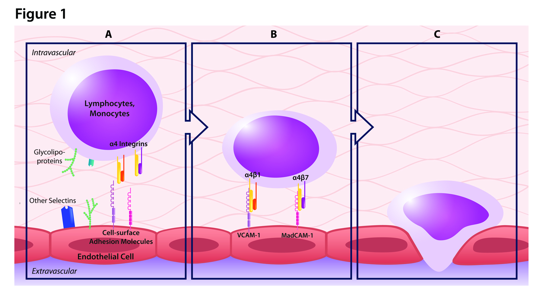 tysabri-figure1.jpg