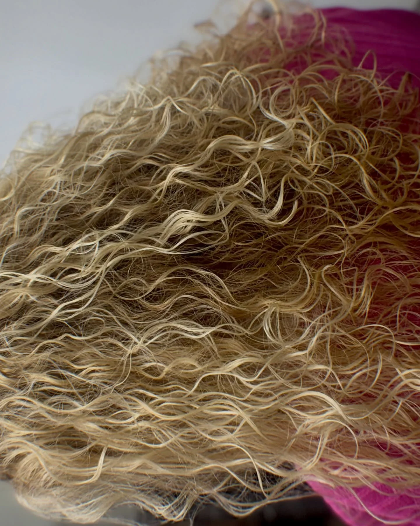 Treat your curls like royalty&mdash;hydrated, defined, and never ignored 👑 #helenaal #avedahaircare #hairsalonhelenaal #curlyhair #alabasteralabama