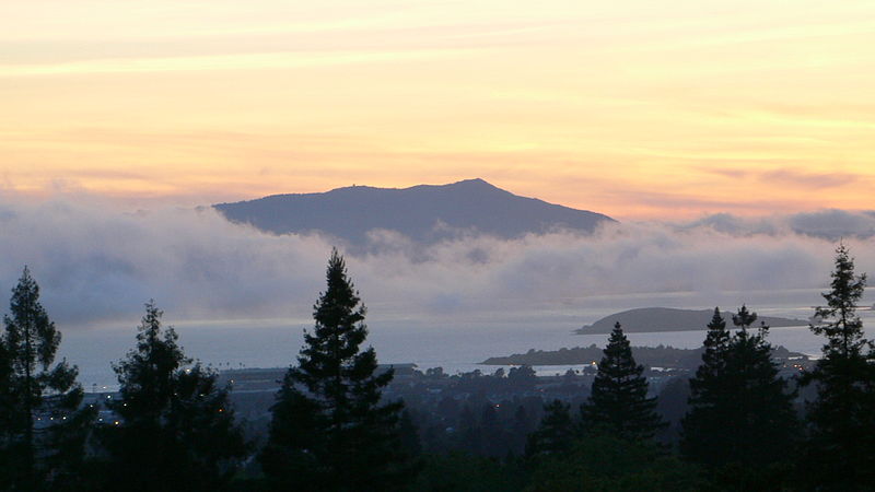 Mt. Tam run, sail on San Fran—yes ma'am!