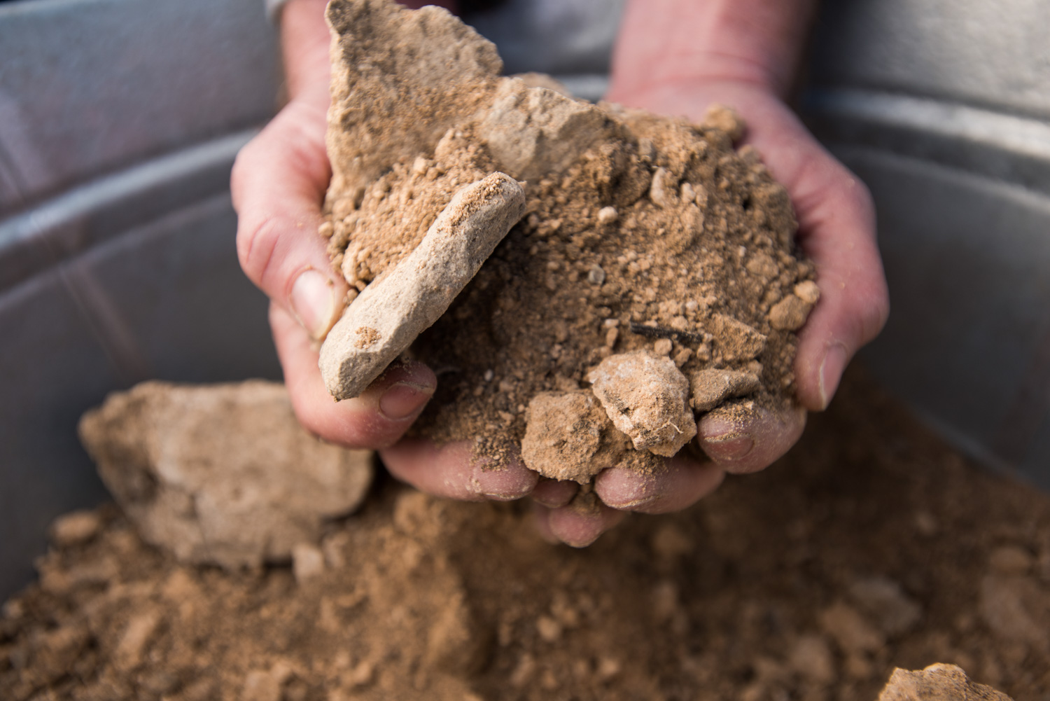 dirt_soil_hands.jpg