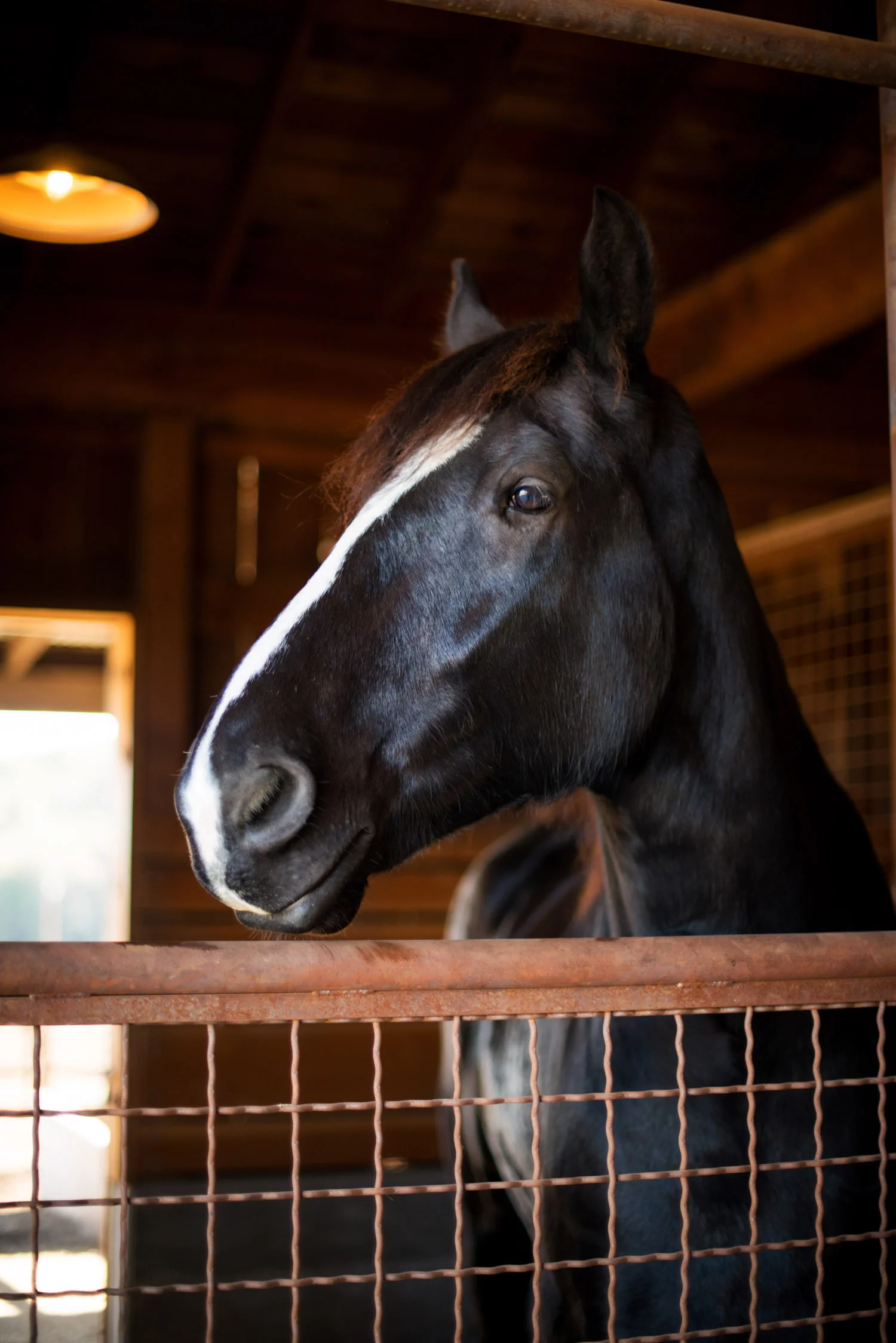epoch_horse_stable.jpg