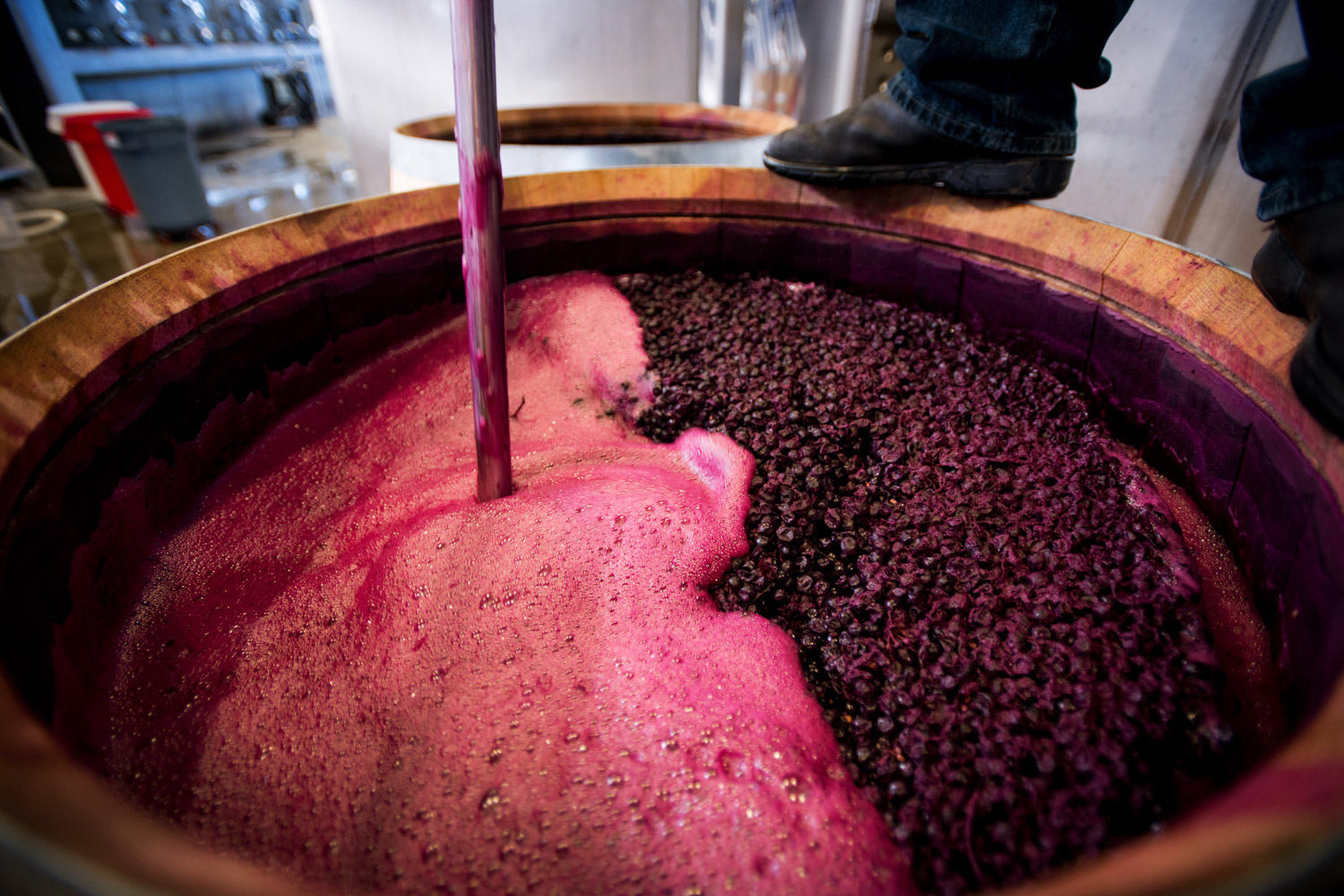 wine_making_punch_down.jpg