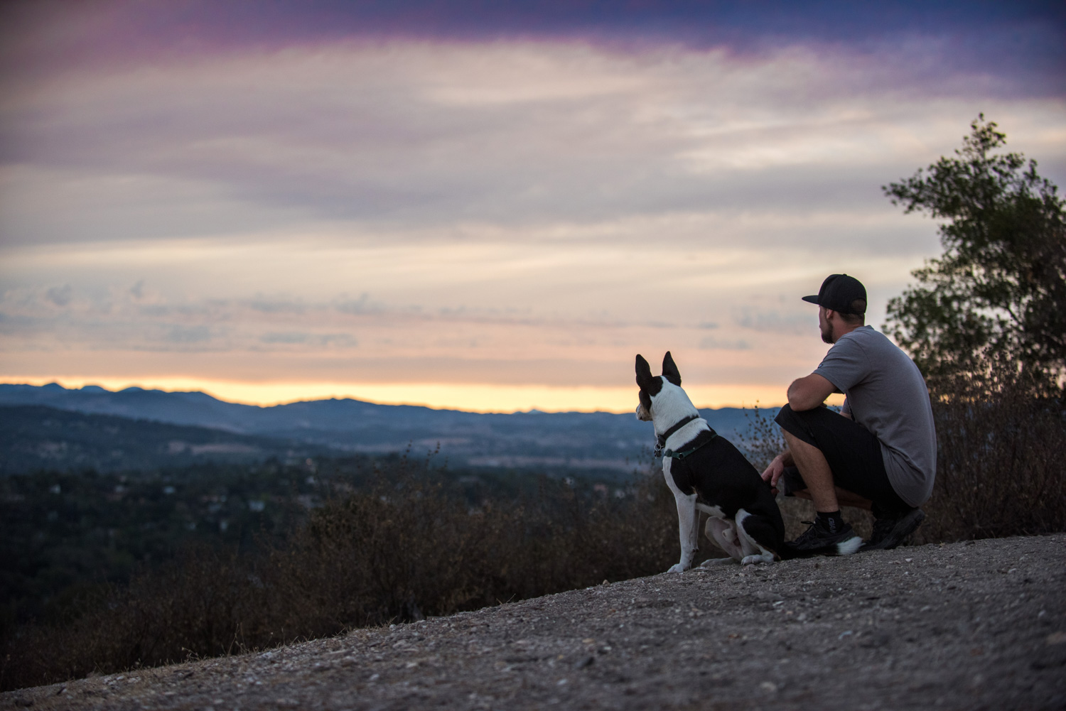 dog_man_sunset_atascadero.jpg