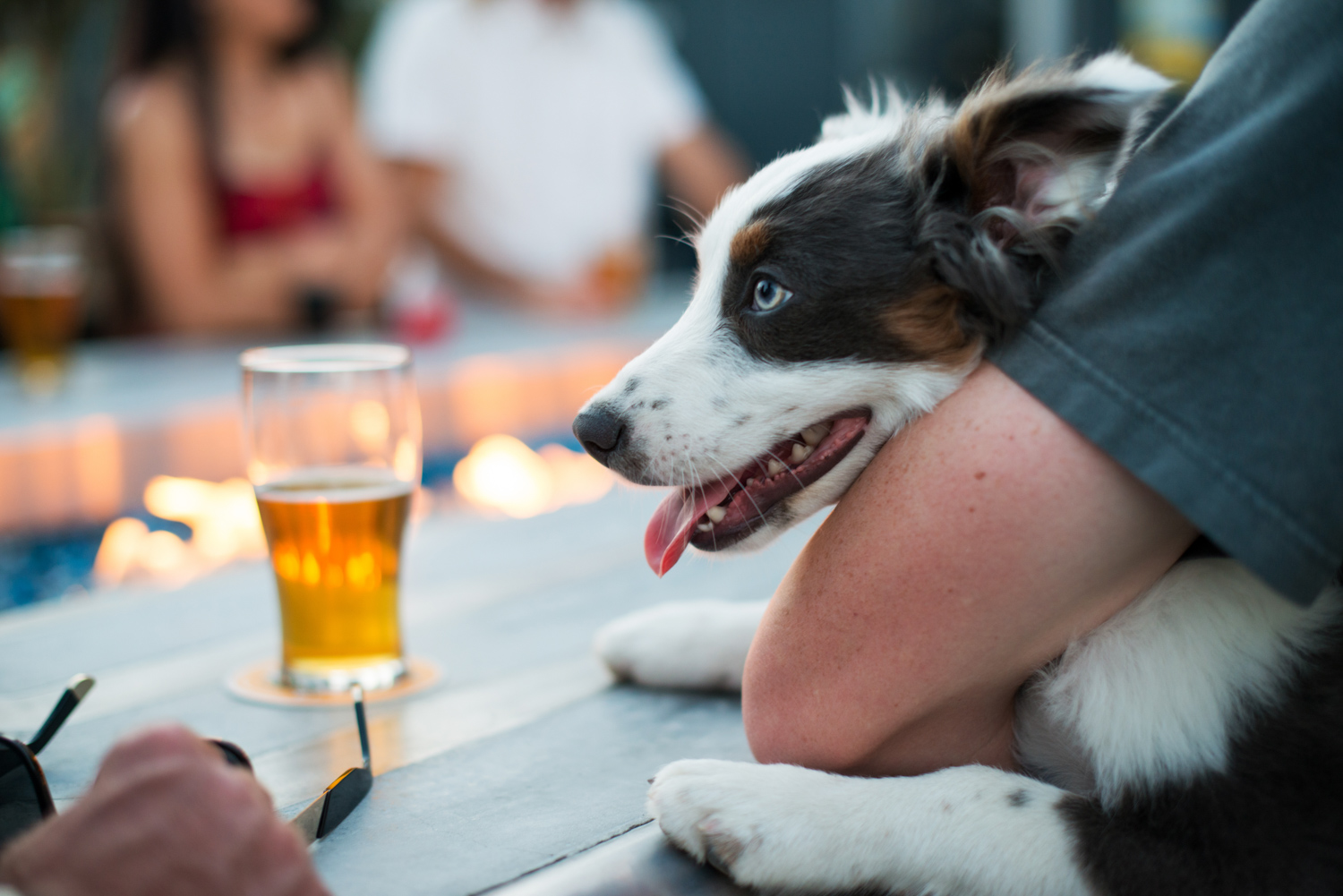puppy_beer_brewery.jpg