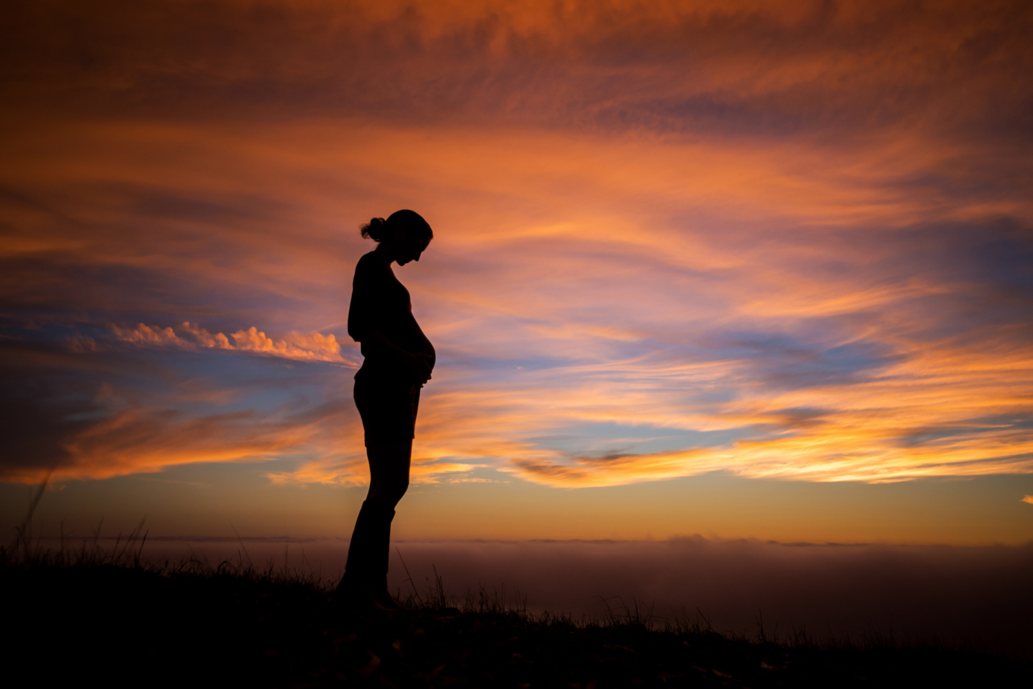 portrait_pregnant_silhouette_sunset.jpg