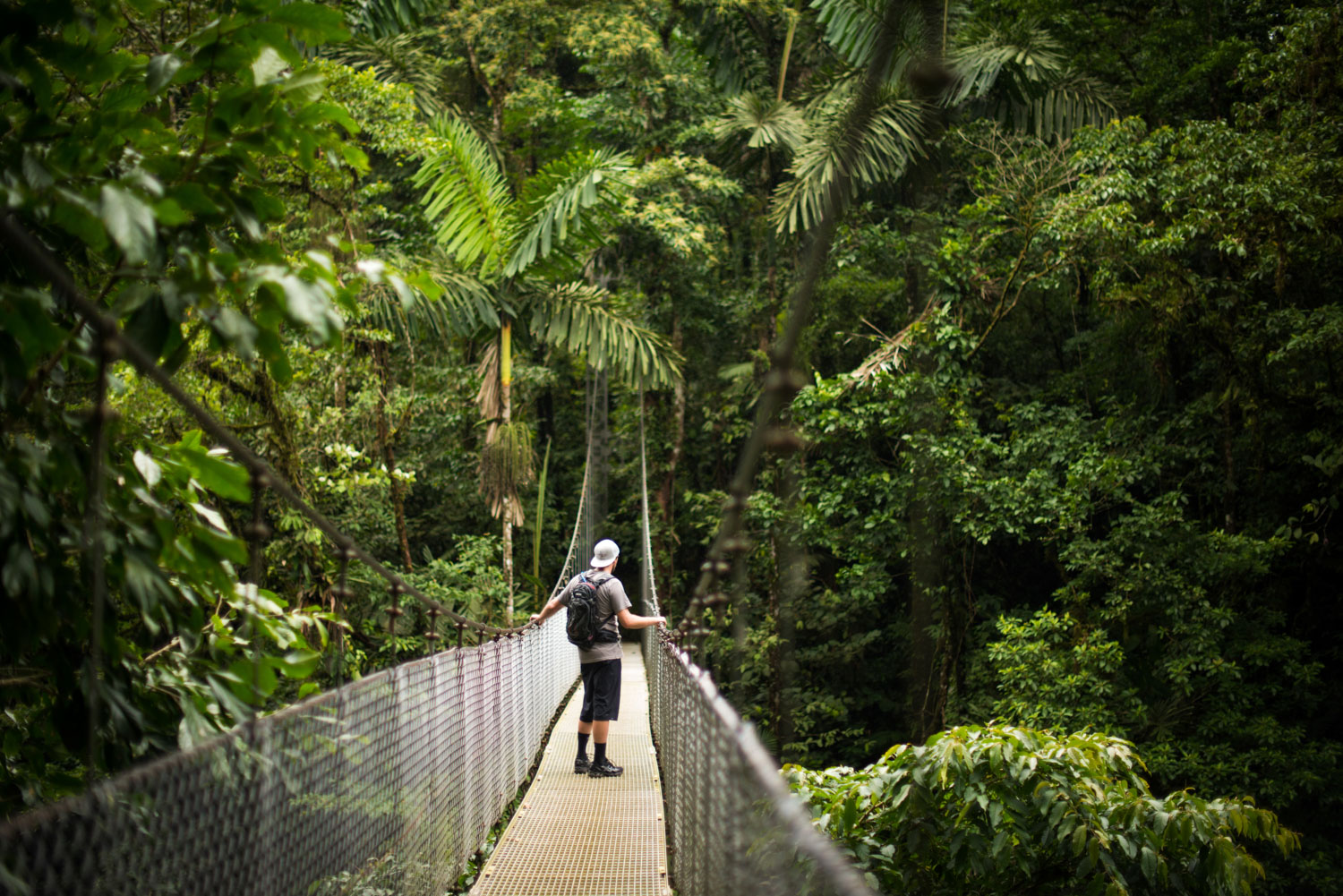 costa_rica_travel_hanging_bridges.jpg