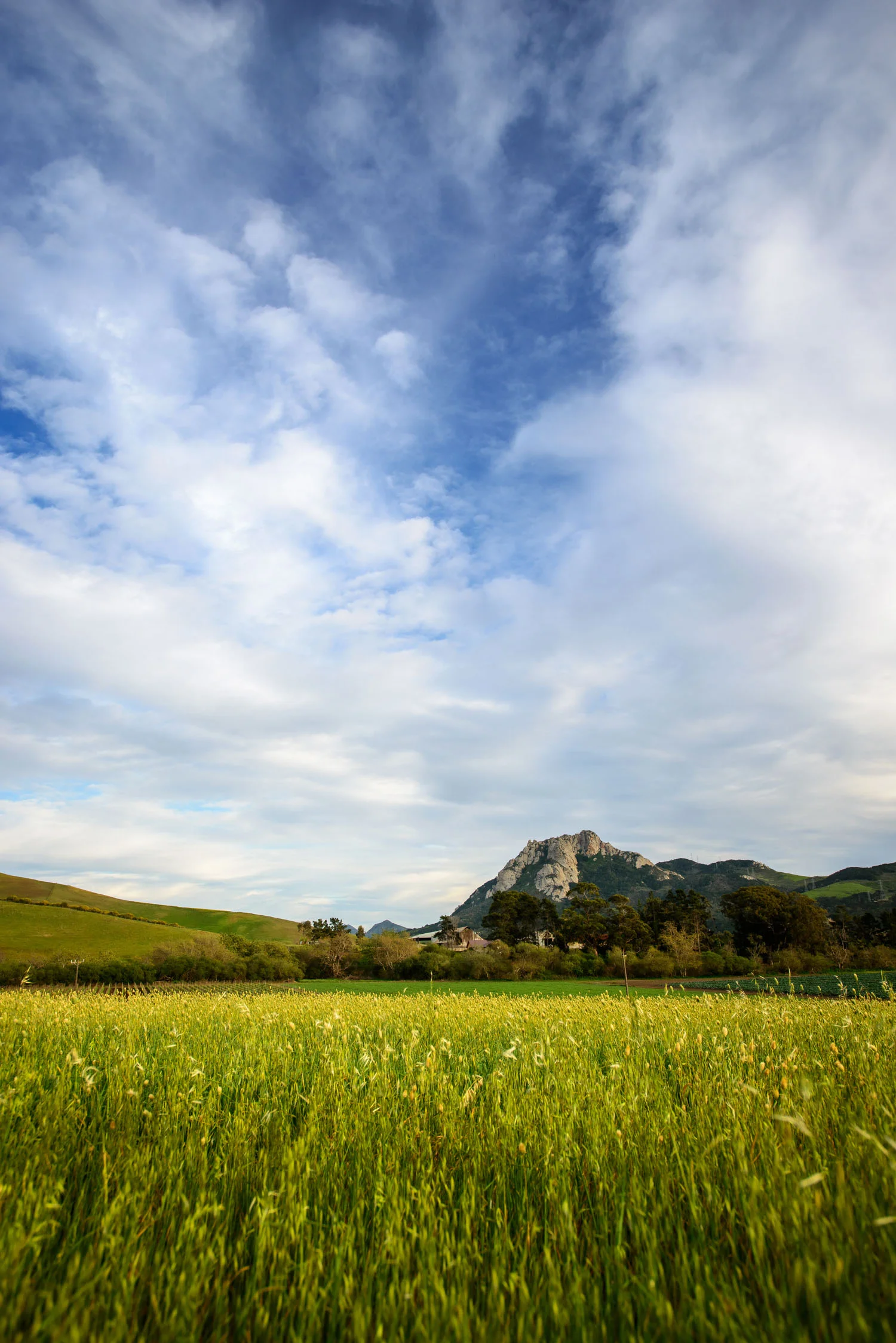 california_landscape_seven_sisters_hollister.jpg