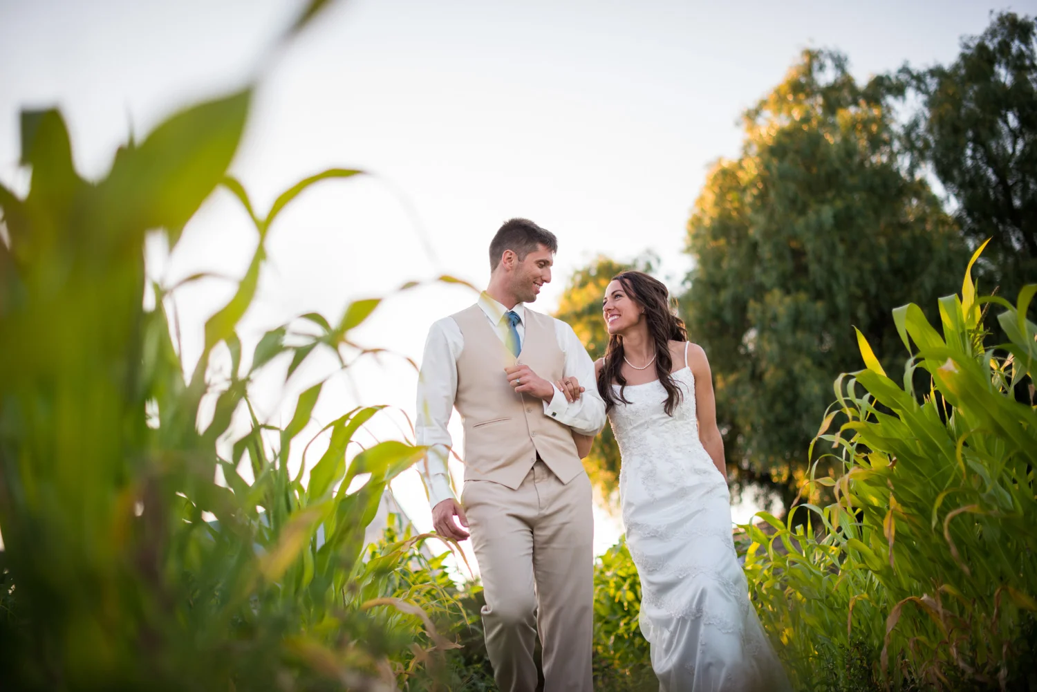 wedding_bridal_portrait_corn_field.jpg