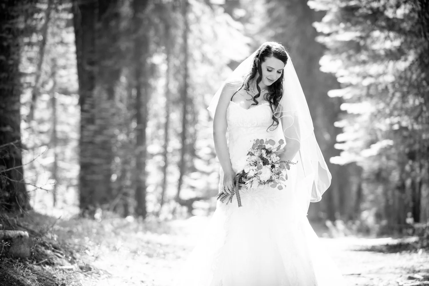 wedding_bride_forest_black_white.jpg