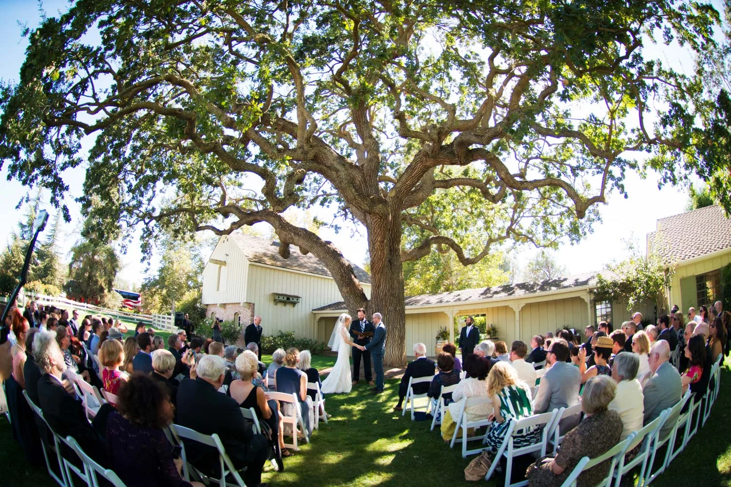 wedding_ceremony_oak_tree_chateau_margene.jpg