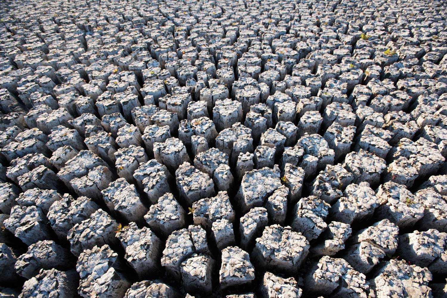 where_there_once_was_water_crackled_lake_bottom.jpg