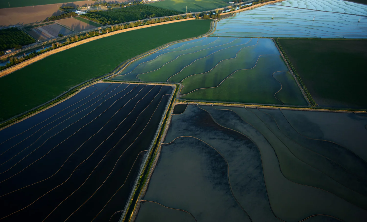 where_there_once_was_water_rice_fields_sacramento.jpg