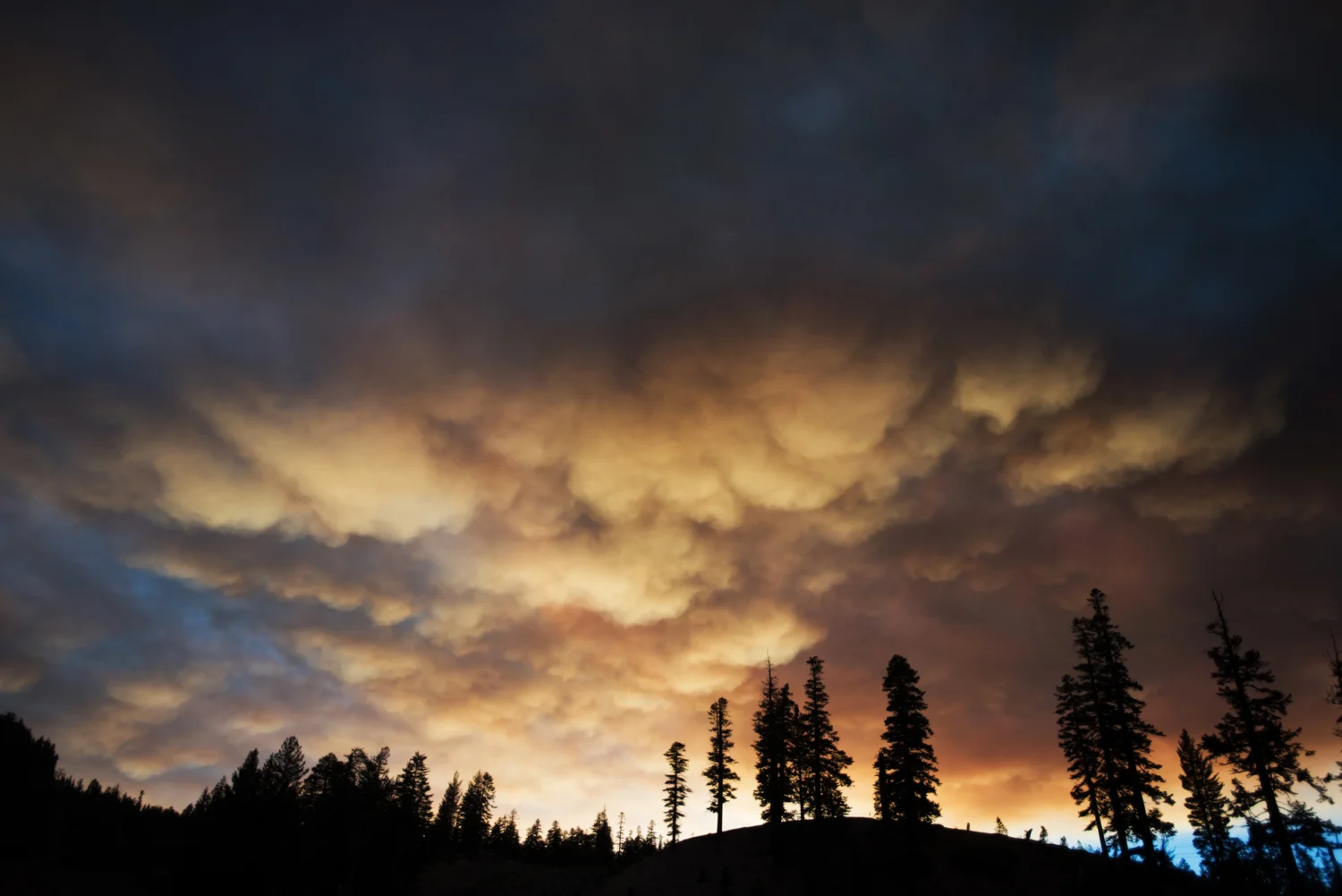 mountain_bike_mammoth_mountain_fire.jpg