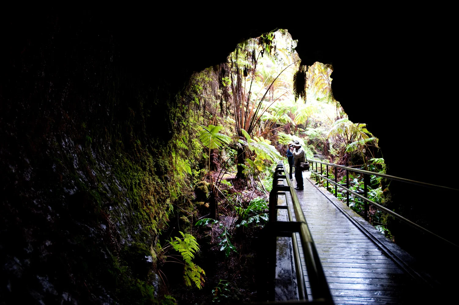 semester_at_sea_lava_tube_hawaii.jpg