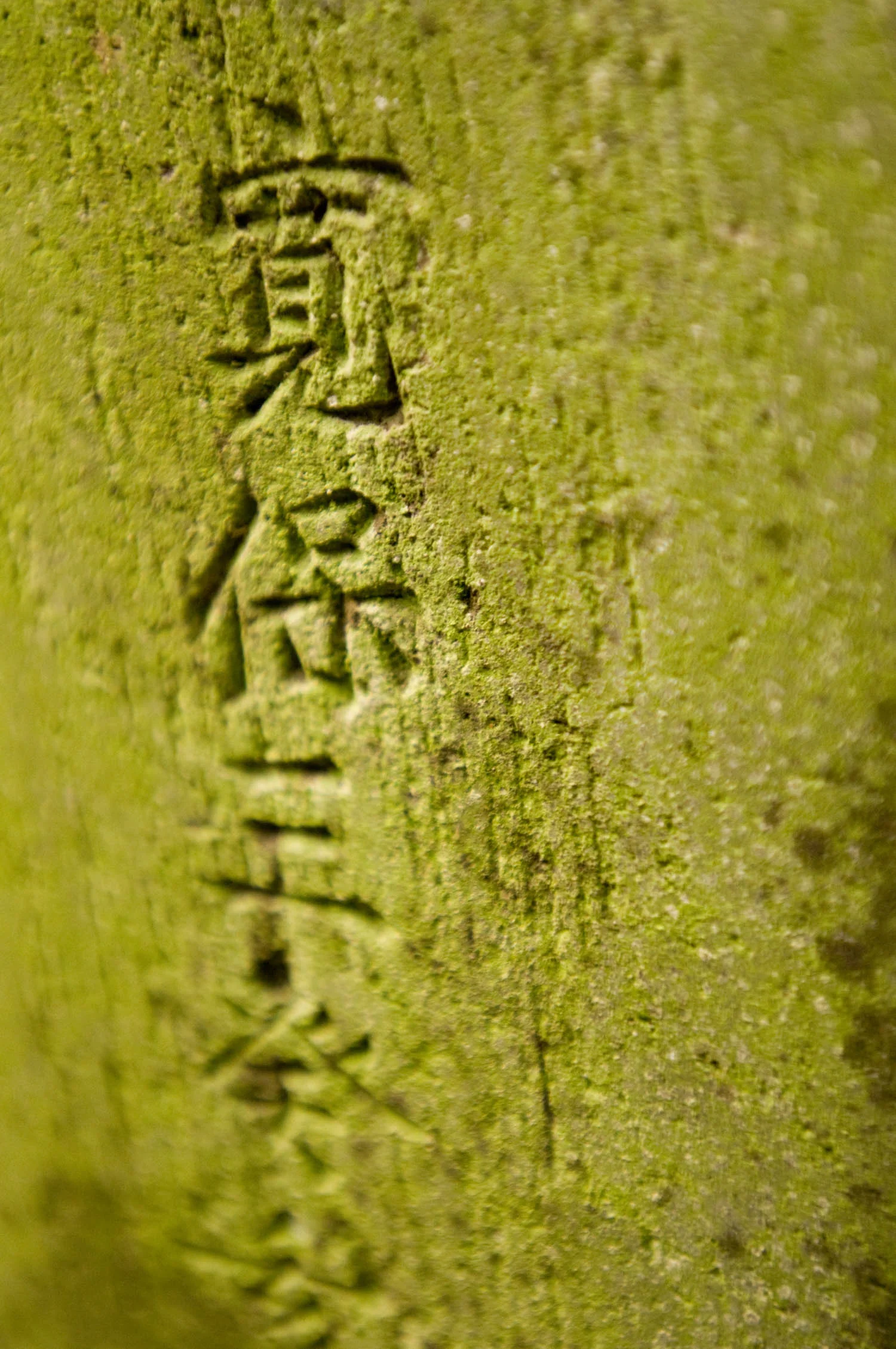 asia_travel_headstone_green.jpg
