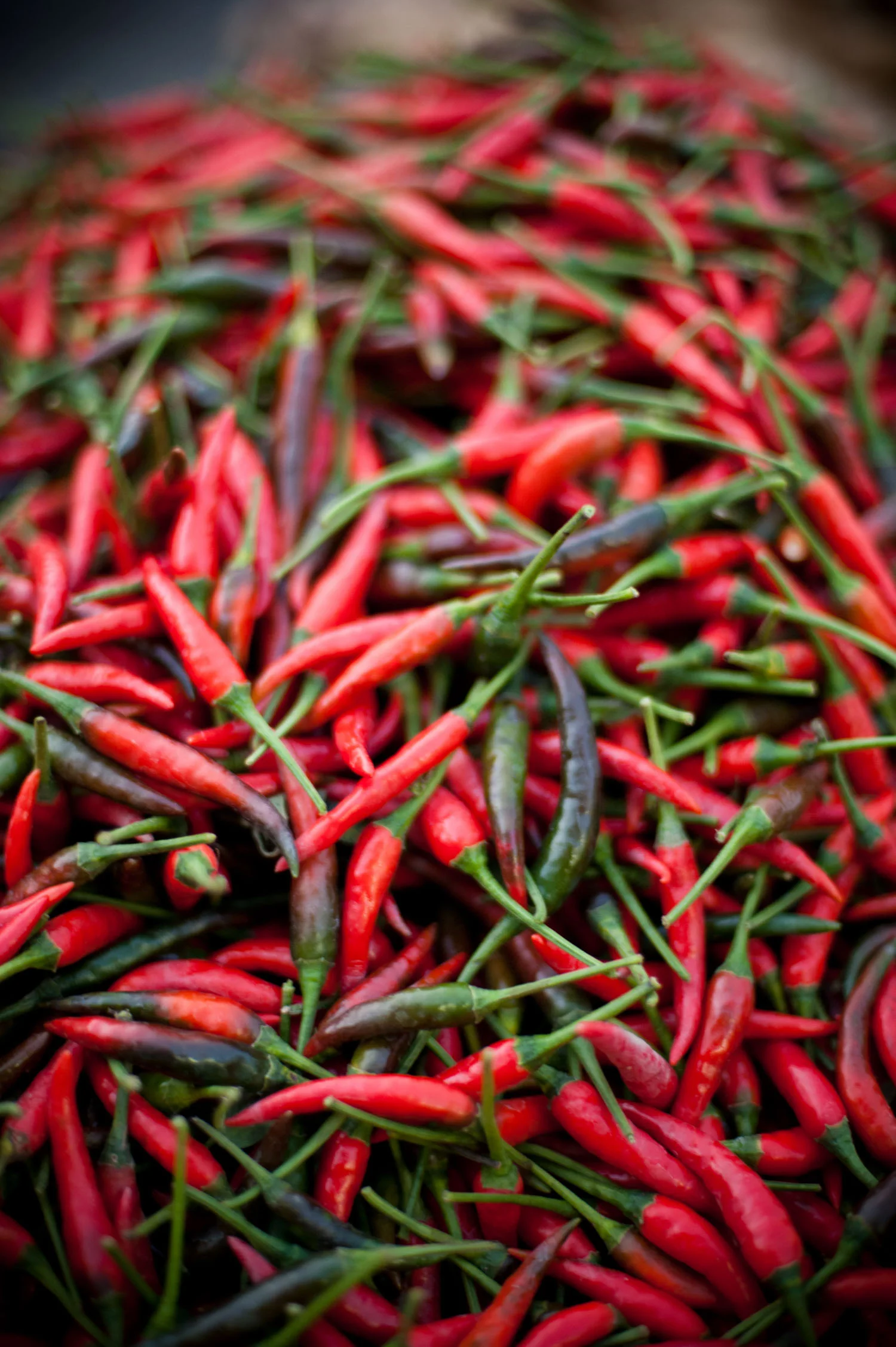 asia_travel_peppers_market.jpg