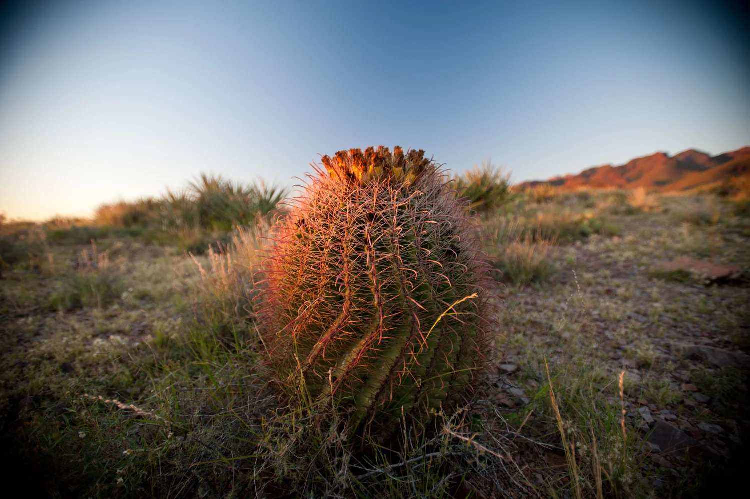 cycling_for_water_cactus.jpg