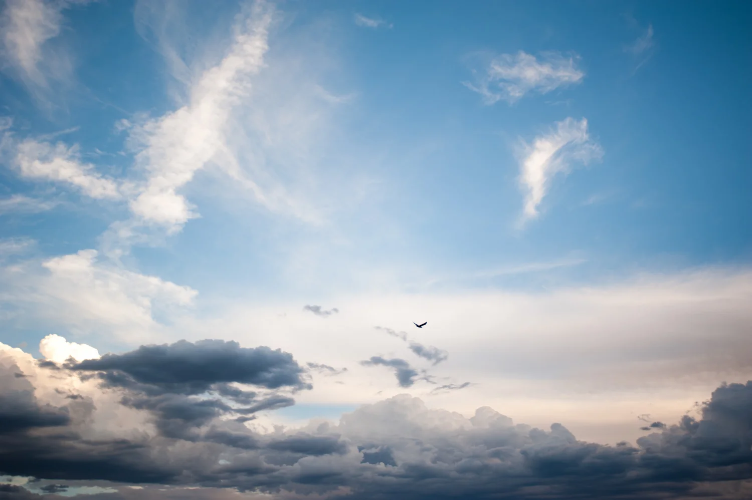 cycling_for_water_clouds.jpg