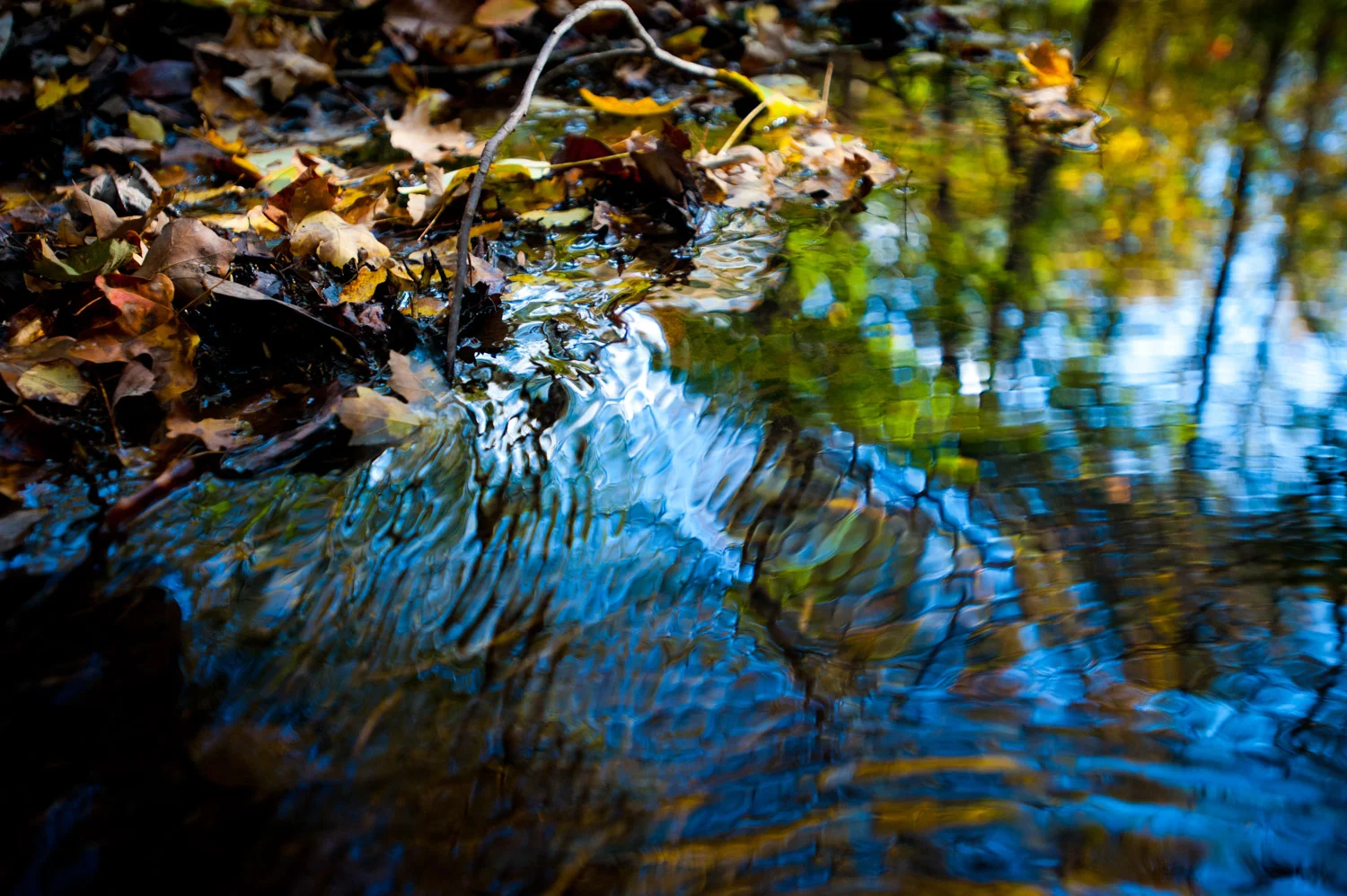 cycling_for_water_flowing_spring.jpg