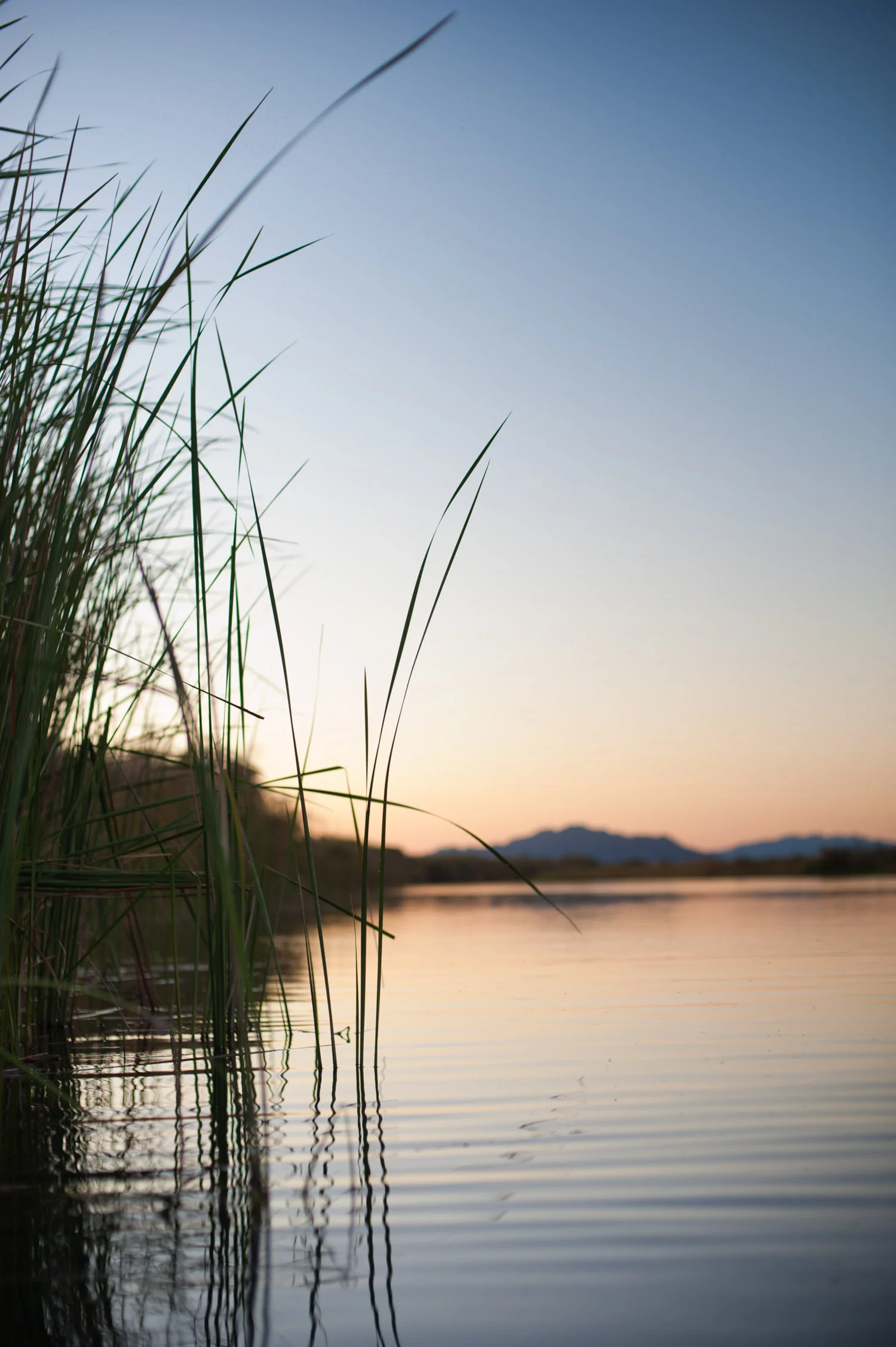 cycling_for_water_river_reflection.jpg