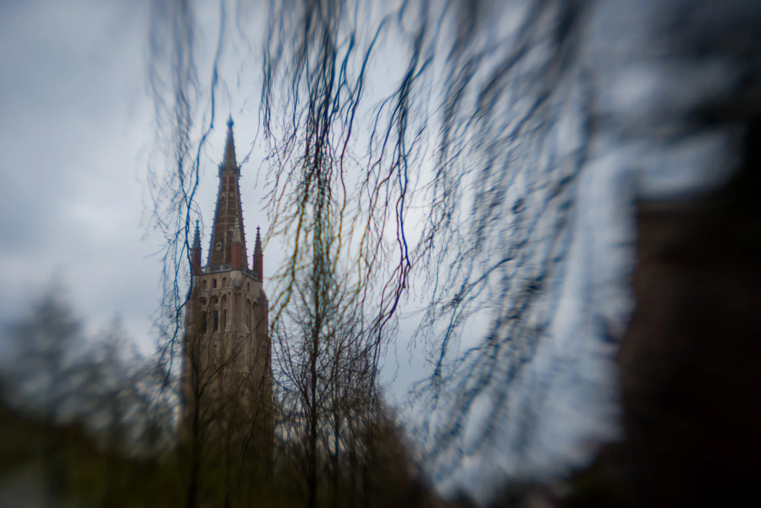 belgium_europe_bruges_cathedral_storm_branches.jpg