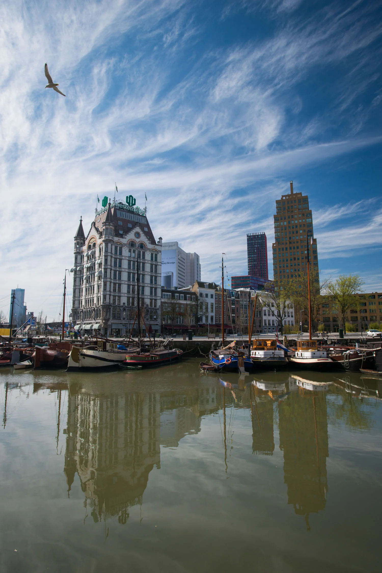netherlands_nederland_rotterdam_harbor.jpg