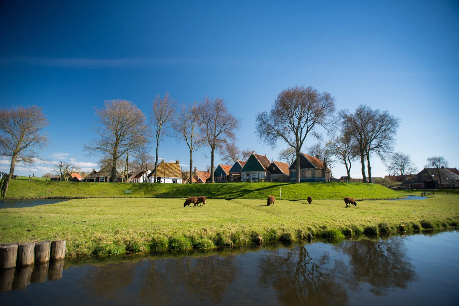 netherlands_nederland_zuiderzee_village_pasture.jpg