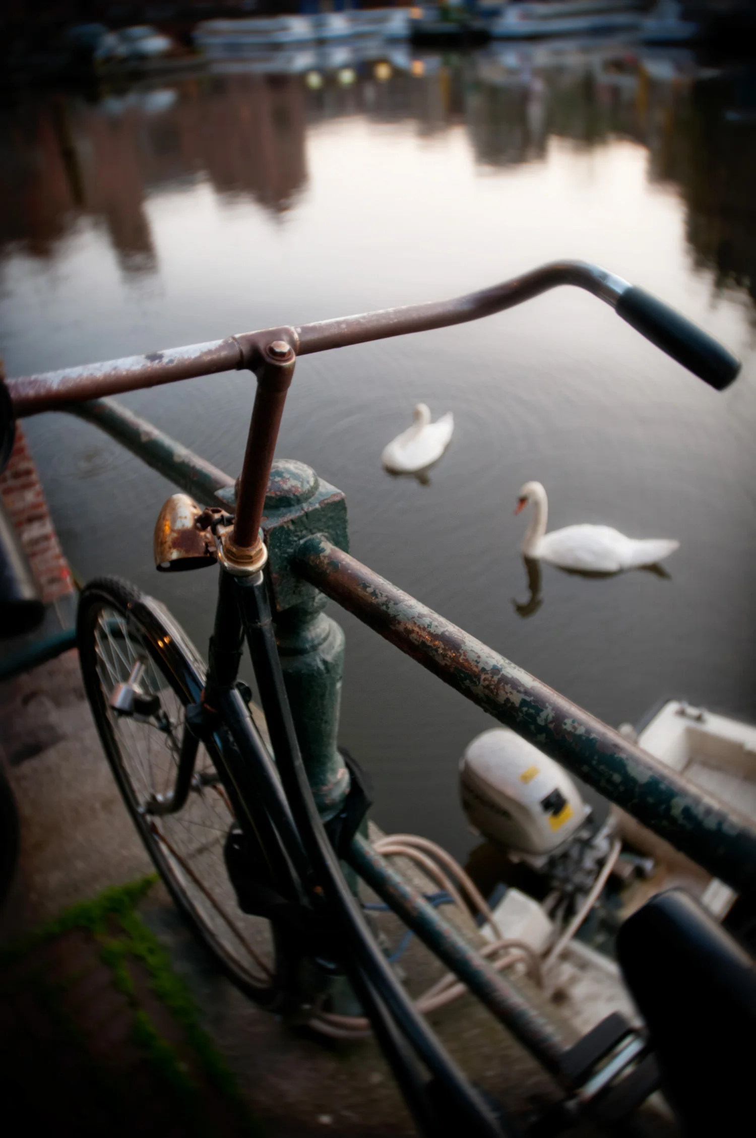 netherlands_travel_amsterdam_bicycle_swans.jpg