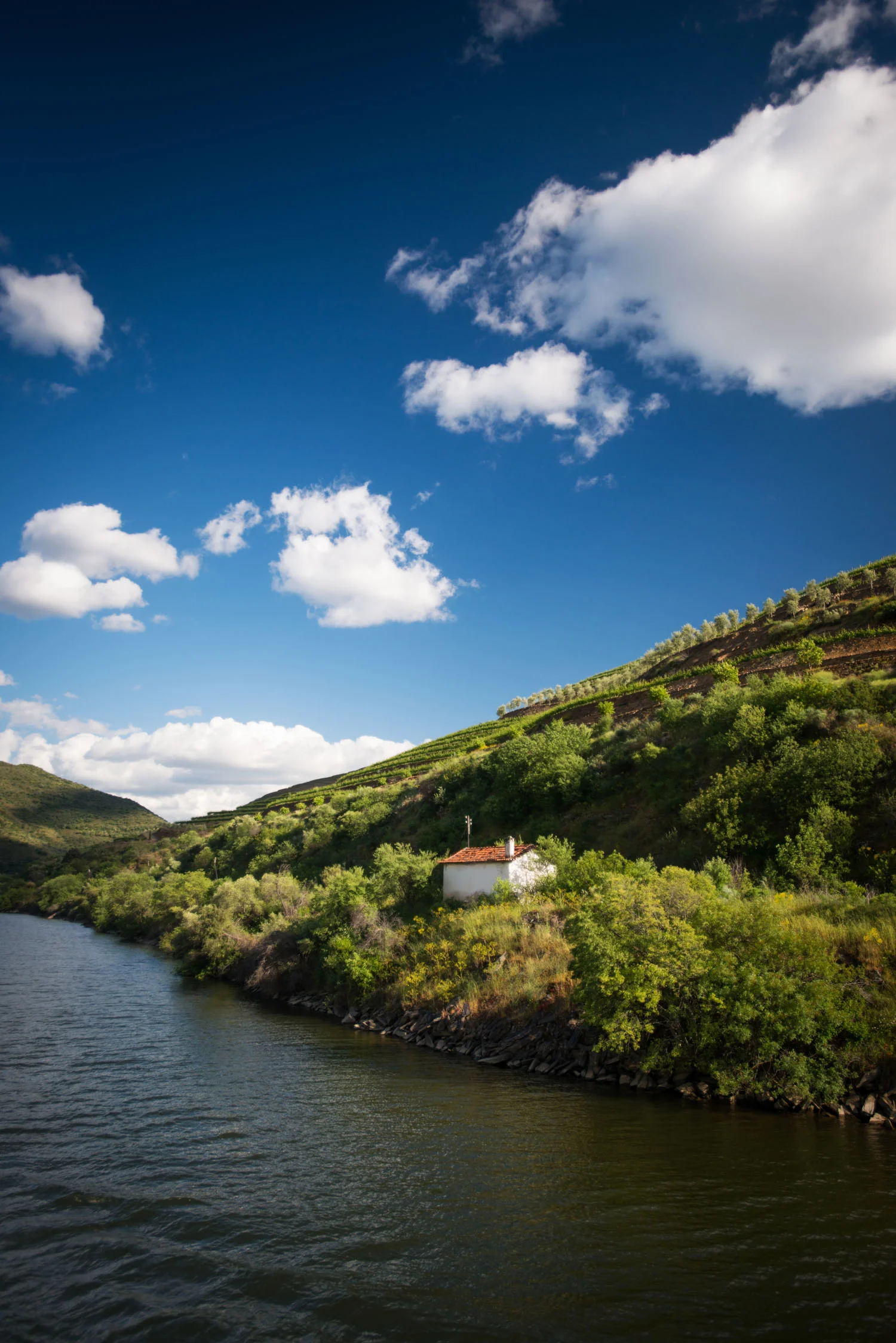 portugal_duoro_river_uniworld.jpg