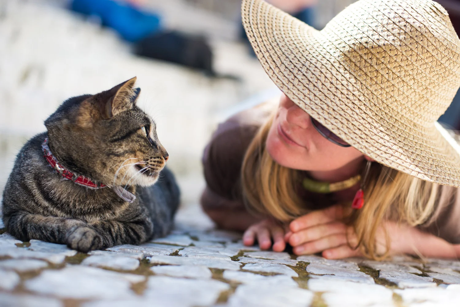 portugal_lisbon_cat_lady.jpg