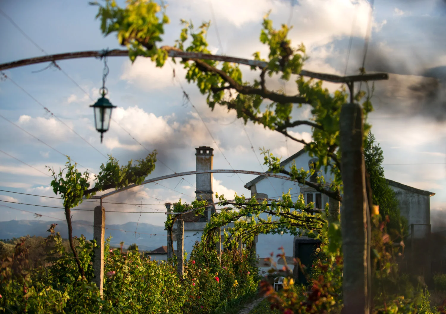 portugal_pinhao_quinta_vineyard_home.jpg