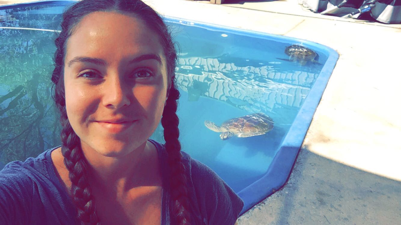 Marine Biologist and 'professional turtle rescuer' Jessie Hildebrand explains coral bleaching and why it's wrecking the Great Barrier Reef.