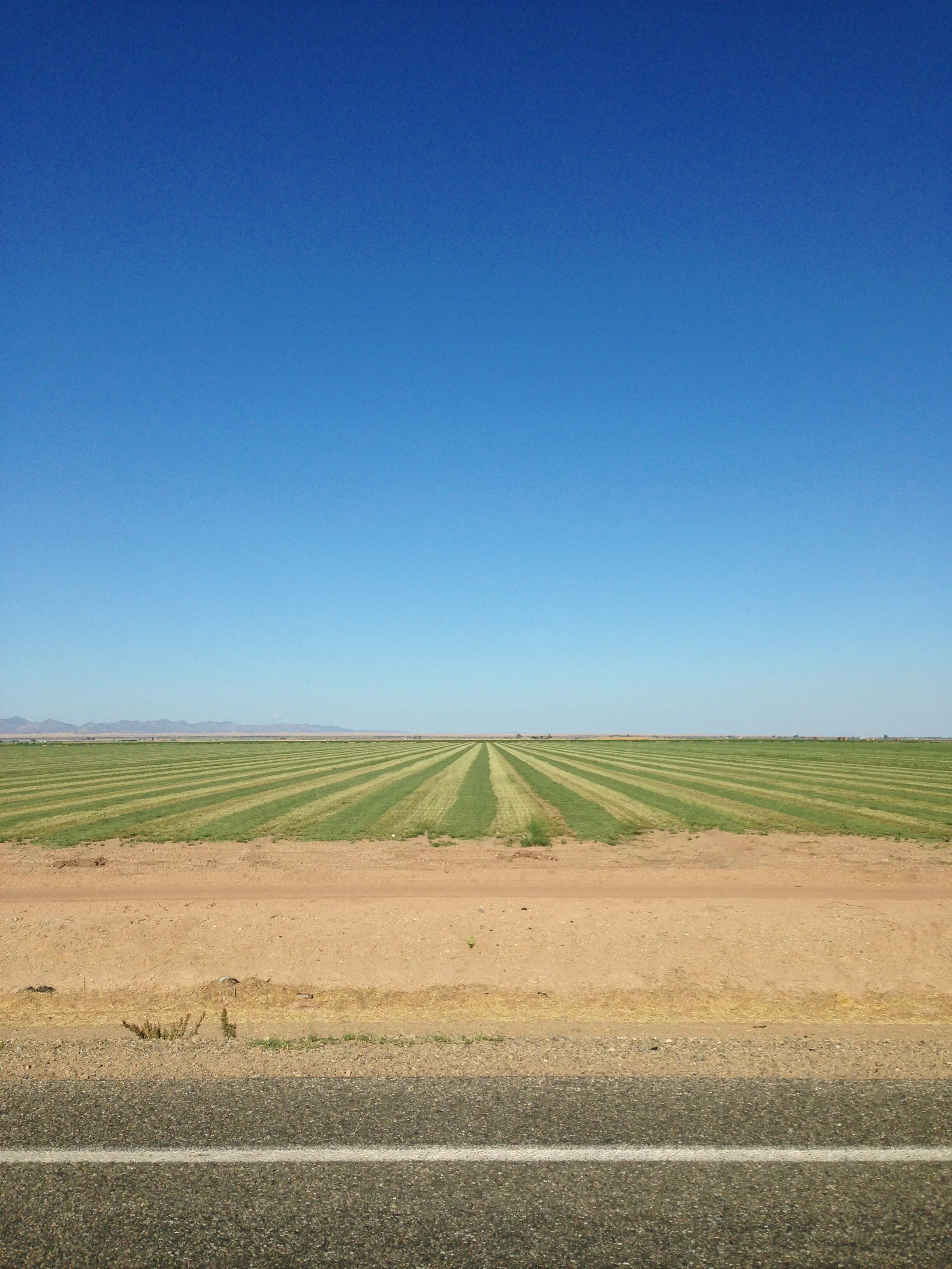 August 16 2016 464.JPG