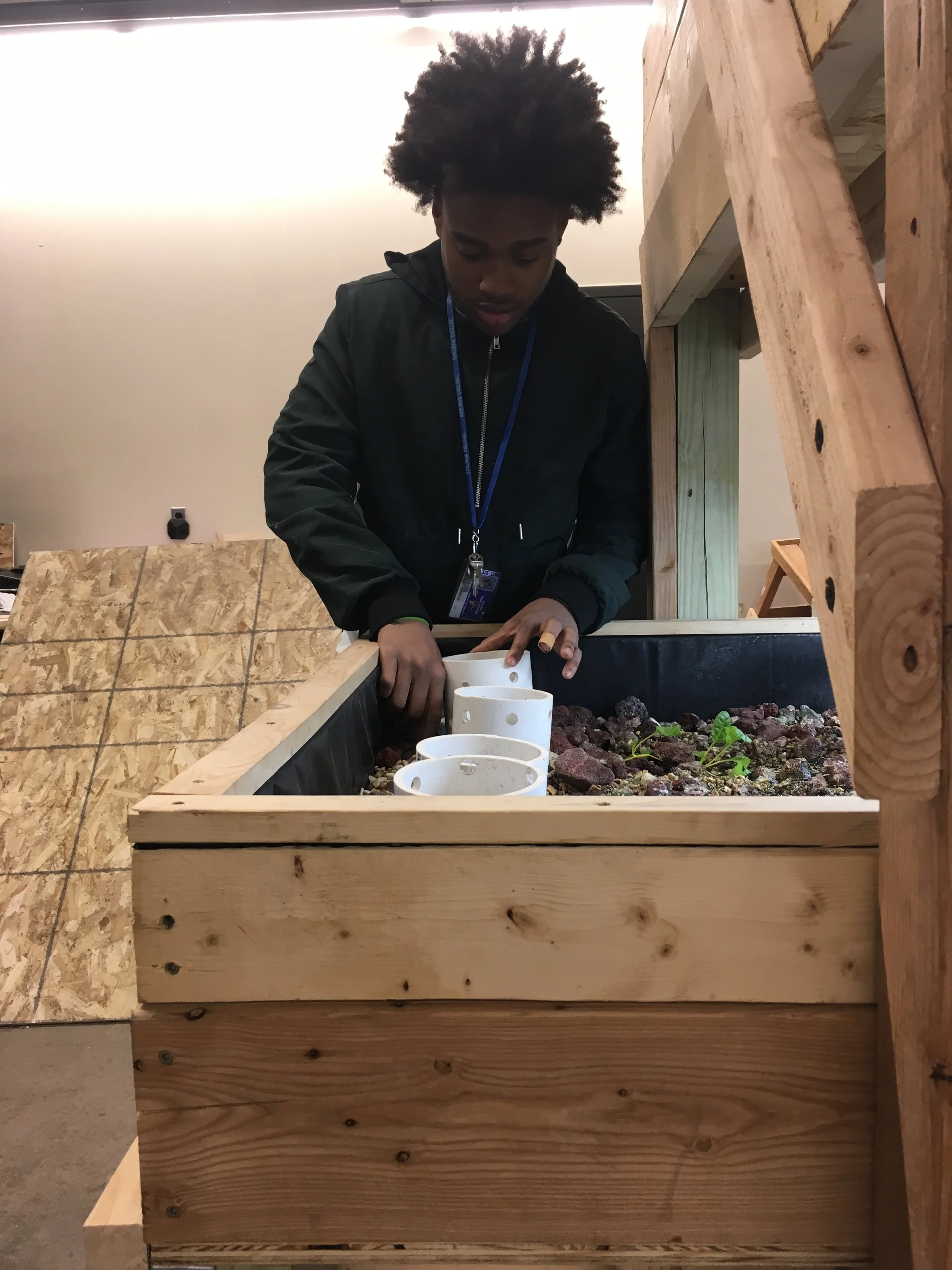 Anthony working on the aquaponics system