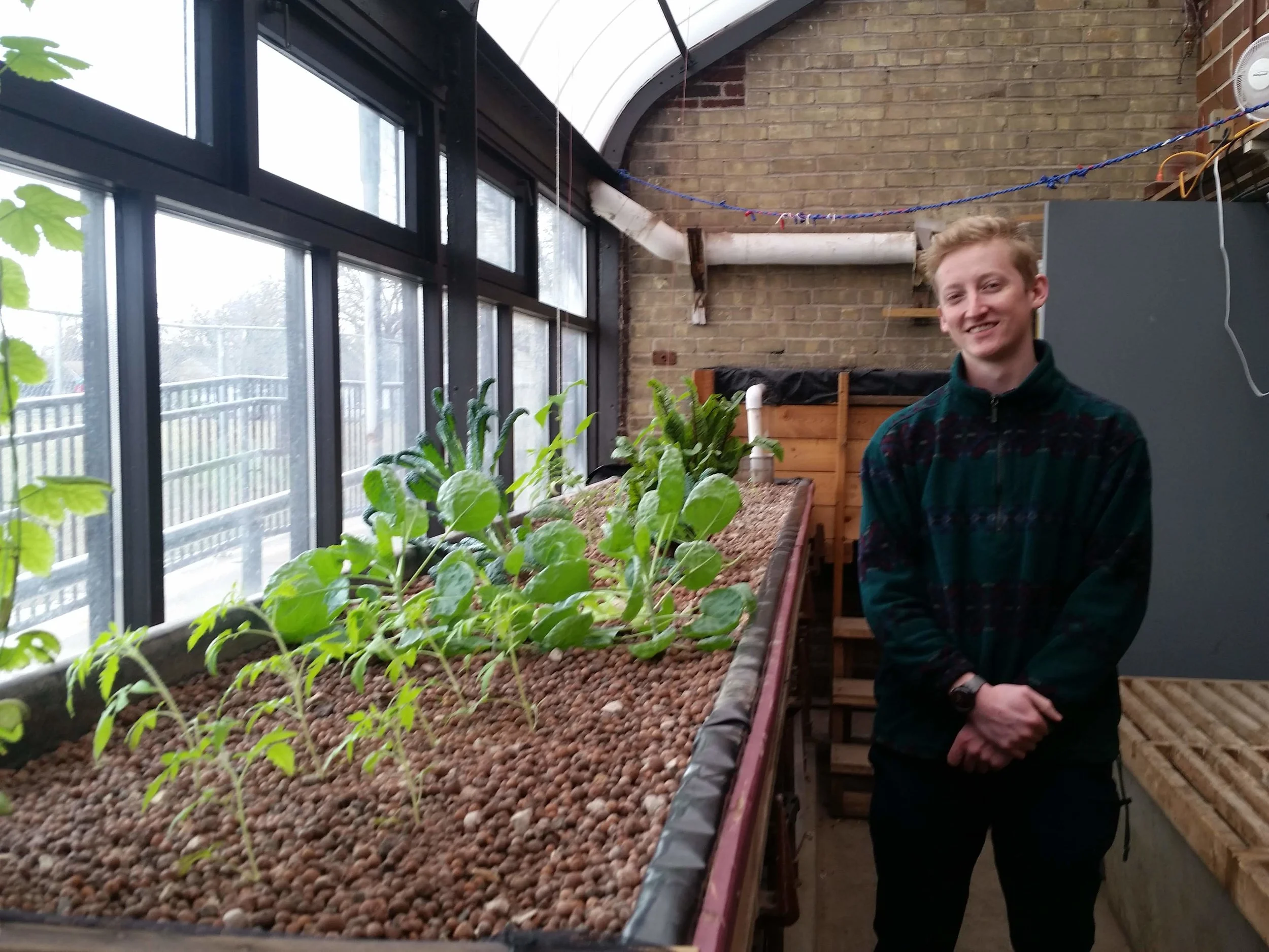 Matthew Kolasny at Roosevelt’s indoor aquaponics system.