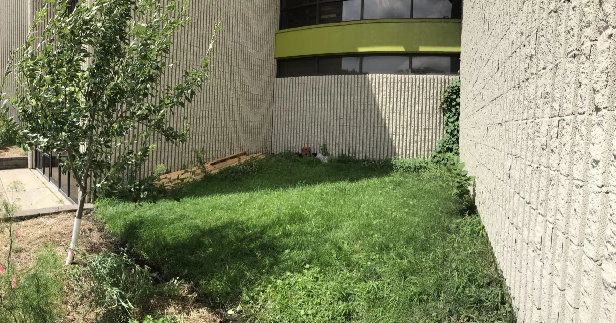 Outdoor Classroom and Produce Preparation Location.jpg