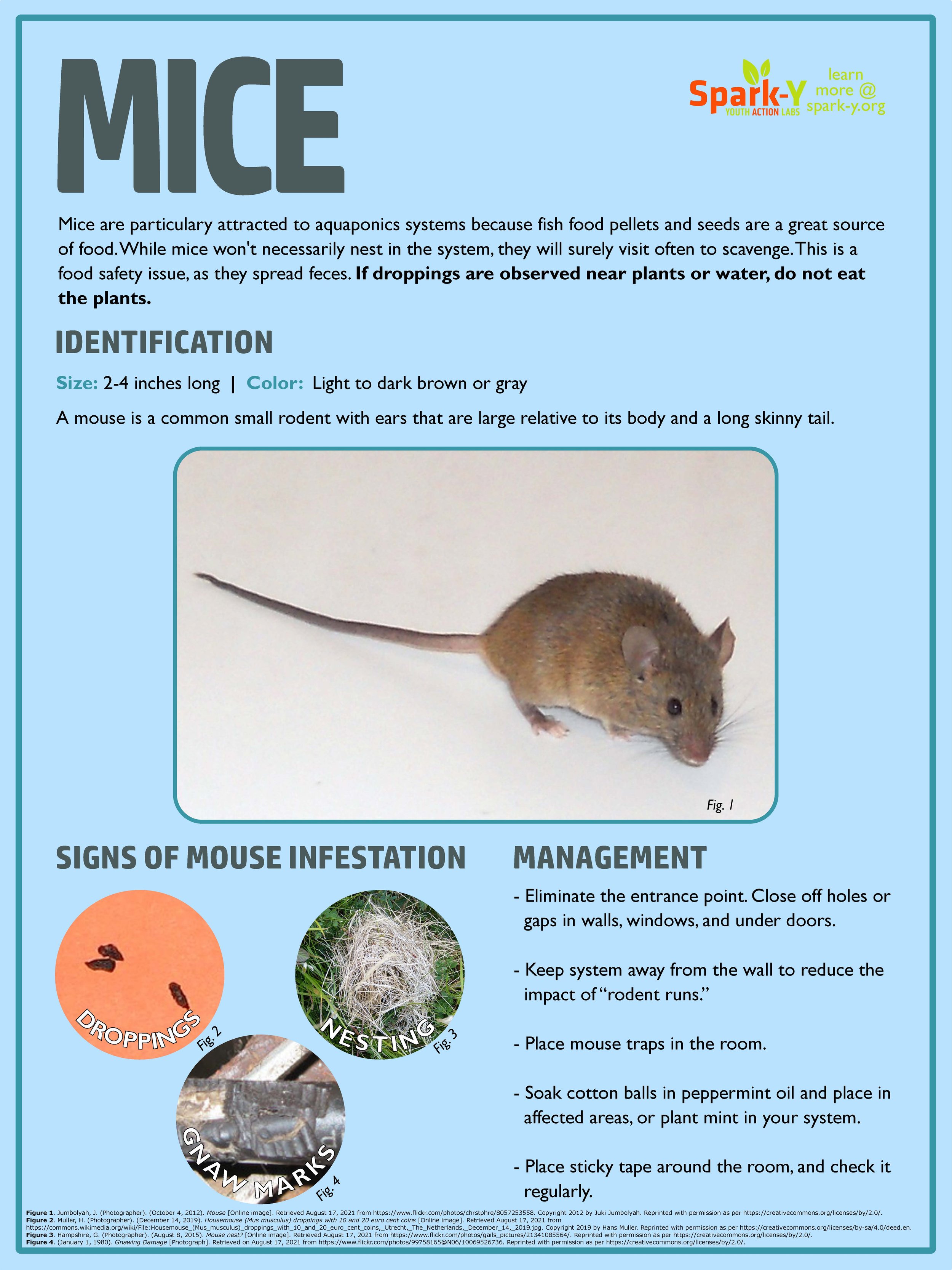 Mouse_Poster.jpg