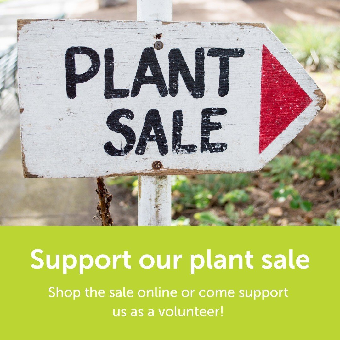 Just a little over two weeks now until our annual plant sale! Support Spark-Y's awarding winning programming through shopping the sale online and the day-of the event. Or even better, volunteer at the sale!

We will need volunteers May 11th-13th to g