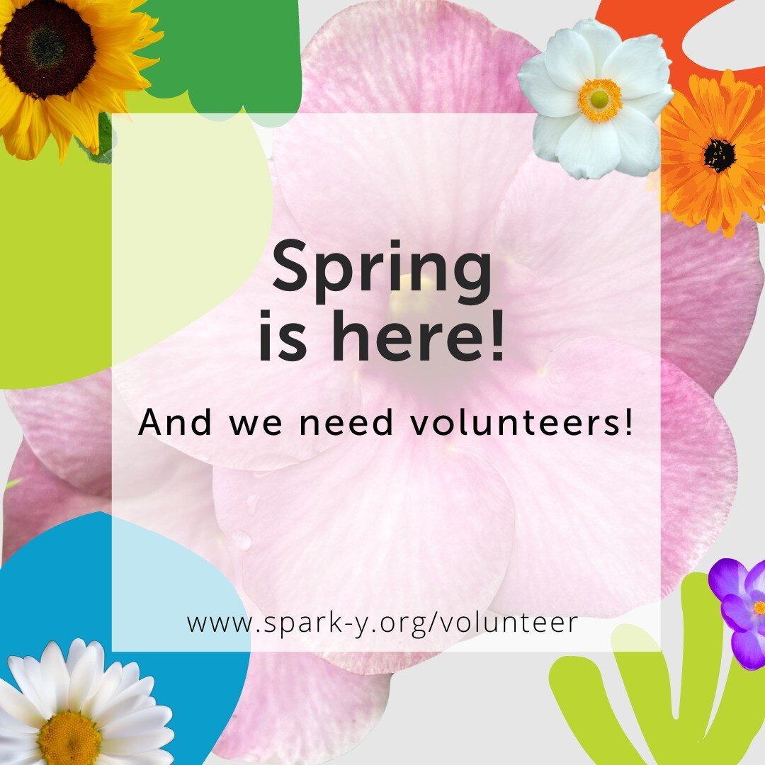 We have a busy week next week and are looking for volunteers! Sign-up for shifts with our Community Engagement Manager - Mary.N@spark-y.org

Shifts on May 11th from 11am-1pm and 1am-4pm, May 12th from 1pm-4pm and May 13th from 9am - 11am and 11am - 2