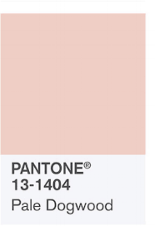 pale dogwood.png