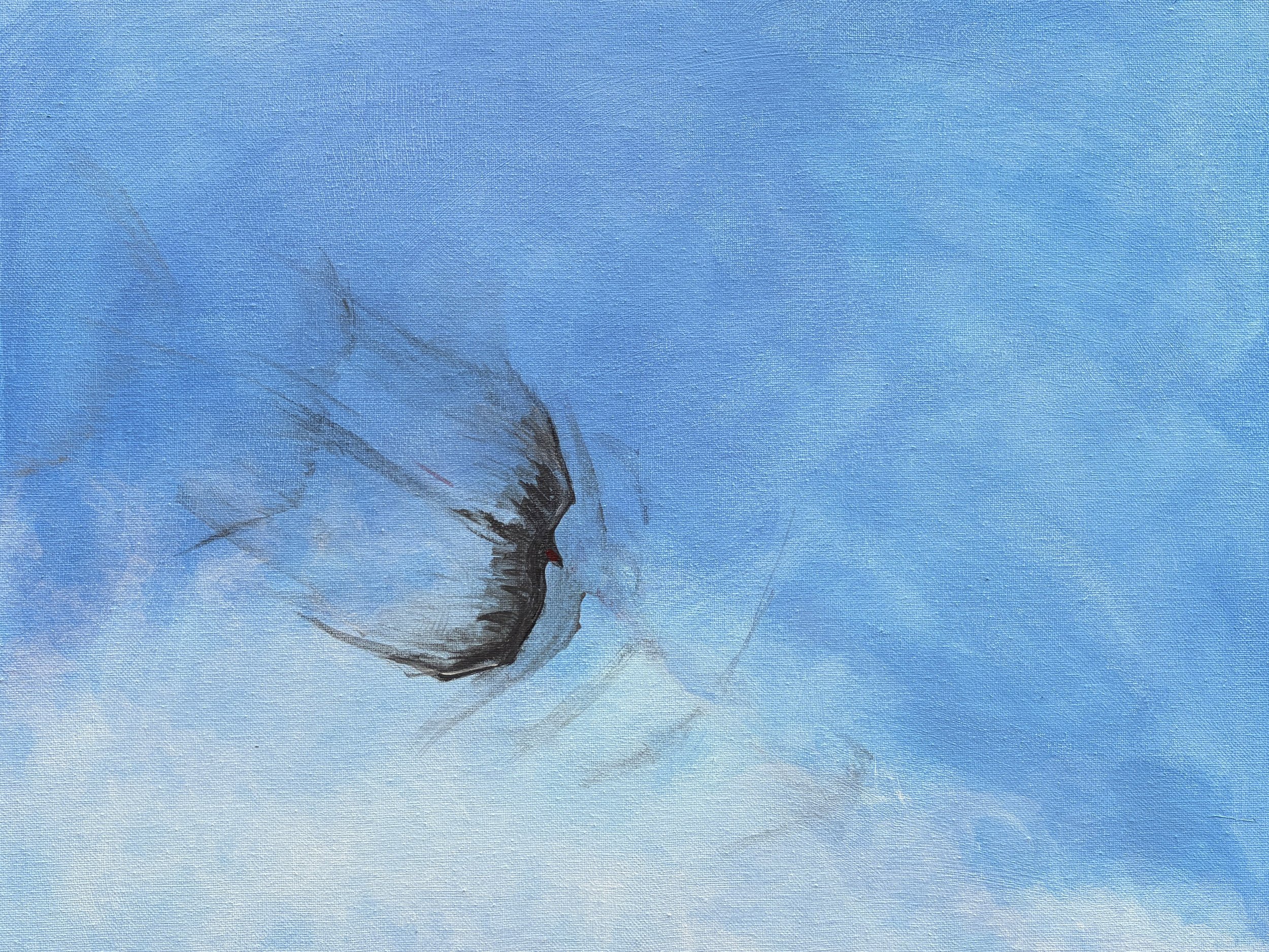   Buzzard in Flight   Synthetic Polymer Paint on Canvas 16” by 20” 